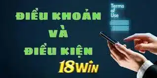 điều khoản điều kiện