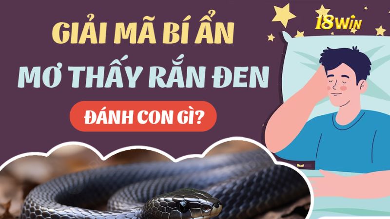 mơ thấy rắn